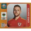 Panini EURO 2020 Sticker Nr 102 Chris Gunter