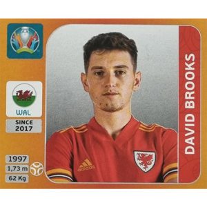 Panini EURO 2020 Sticker Nr 110 David Brooks