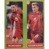 Panini EURO 2020 Sticker Nr 312 Ademi Alioski
