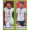 Panini EURO 2020 Sticker Nr 423 Maguire Trippier