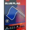 Turbo Attax 2021 Nr 196 Blue Flag