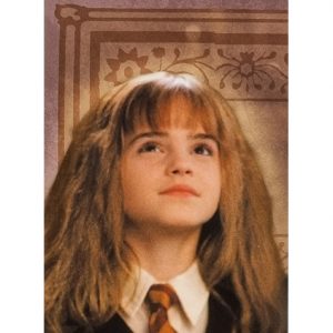 Panini Harry Potter Evolution Trading Cards NR 001 FRIENDS FOR LIFE