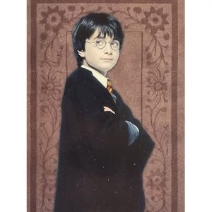 Panini Harry Potter Evolution Trading Cards Nr 010 Harry Potter
