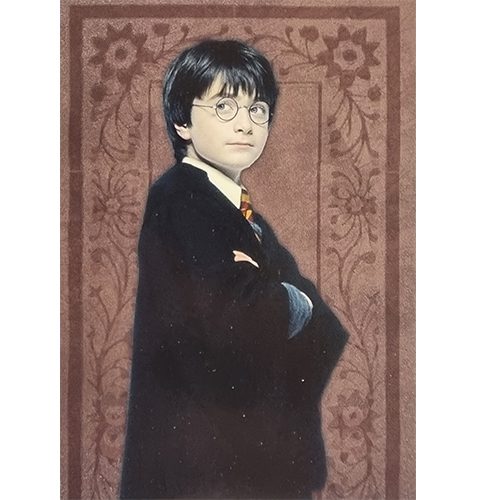 Panini Harry Potter Evolution Trading Cards Nr 010 Harry Potter