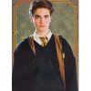 Panini Harry Potter Evolution Trading Cards Nr 127 Character