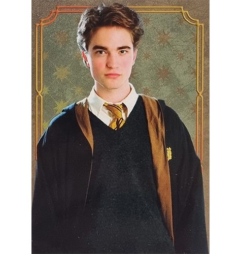Panini Harry Potter Evolution Trading Cards Nr 127 Character