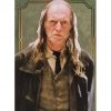 Panini Harry Potter Evolution Trading Cards Nr 133 Character