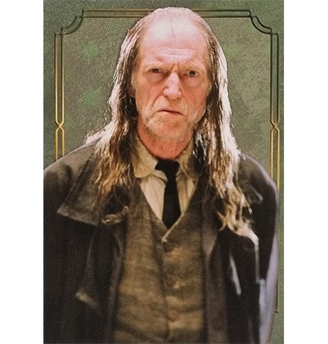 Panini Harry Potter Evolution Trading Cards Nr 133 Character