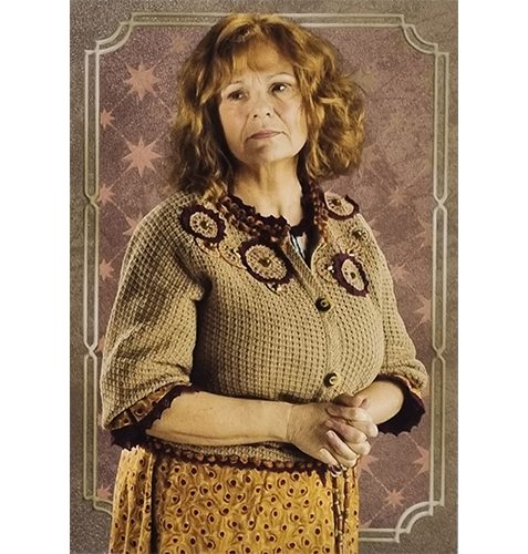 Panini Harry Potter Evolution Trading Cards Nr 136 Character