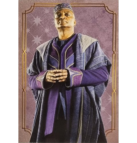 Panini Harry Potter Evolution Trading Cards Nr 138 Character