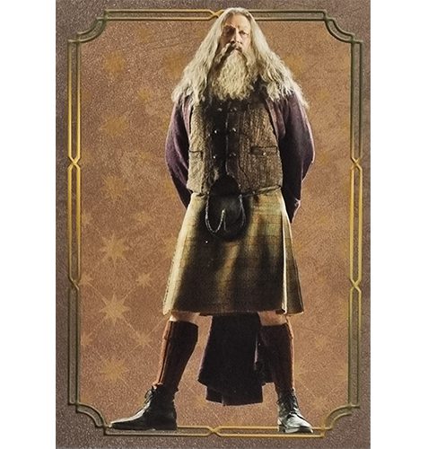 Panini Harry Potter Evolution Trading Cards Nr 139 Character