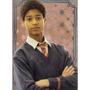 Panini Harry Potter Evolution Trading Cards Nr 143 Character