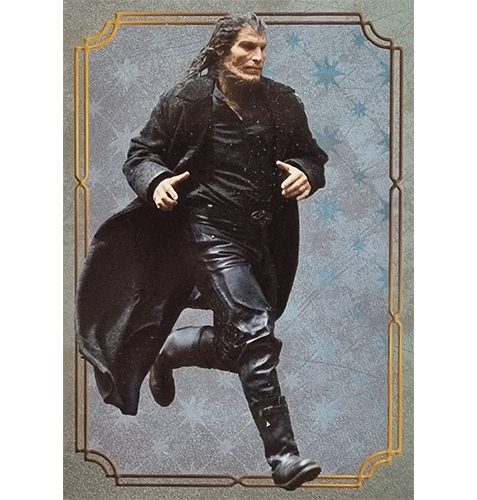 Panini Harry Potter Evolution Trading Cards Nr 146 Character