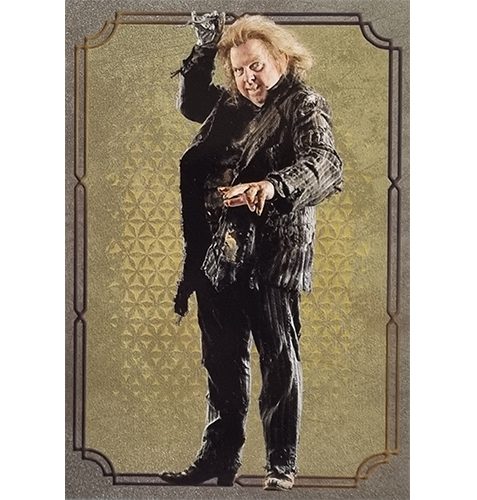 Panini Harry Potter Evolution Trading Cards Nr 147 Character
