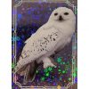Panini Harry Potter Evolution Trading Cards Nr 154 Magical Creature