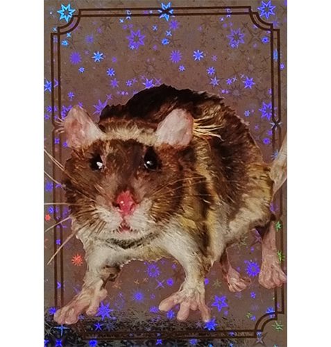 Panini Harry Potter Evolution Trading Cards Nr 156 Magical Creature