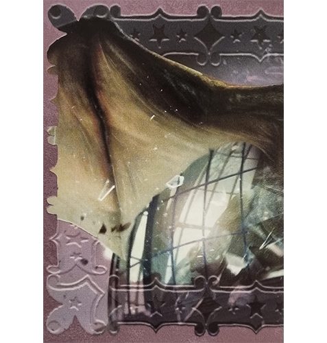 Panini Harry Potter Evolution Trading Cards Nr 166 Magical Creature