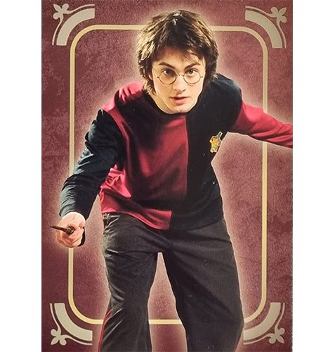 Panini Harry Potter Evolution Trading Cards Nr 018 Harry Potter