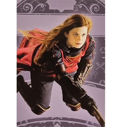 Panini Harry Potter Evolution Trading Cards Nr 182 Quidditch