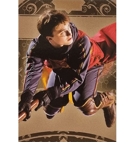 Panini Harry Potter Evolution Trading Cards Nr 184 Quidditch