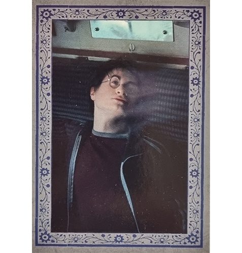 Panini Harry Potter Evolution Trading Cards Nr 192 Close Call