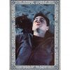 Panini Harry Potter Evolution Trading Cards Nr 195 Close Call