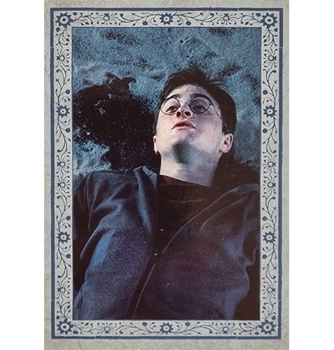 Panini Harry Potter Evolution Trading Cards Nr 195 Close Call
