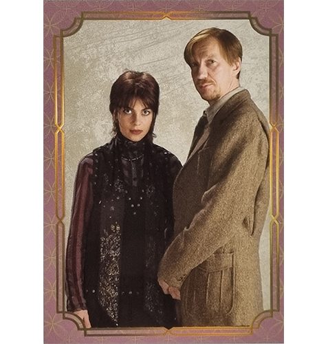 Panini Harry Potter Evolution Trading Cards Nr 199 Love