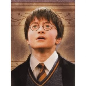 Panini Harry Potter Evolution Trading Cards Nr 002 Friends for life