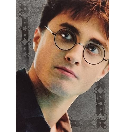 Panini Harry Potter Evolution Trading Cards Nr 020 Harry Potter