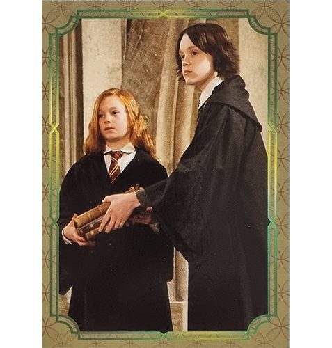 Panini Harry Potter Evolution Trading Cards Nr 200 Love