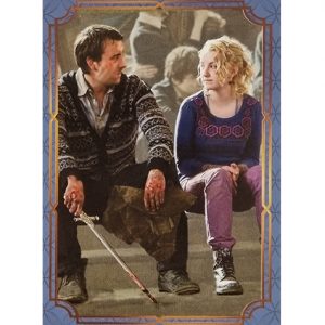 Panini Harry Potter Evolution Trading Cards Nr 205 Love