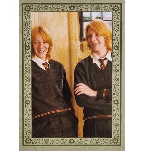 Panini Harry Potter Evolution Trading Cards Nr 228 The Weasleys