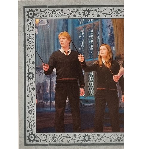 Panini Harry Potter Evolution Trading Cards Nr 230 The Weasleys