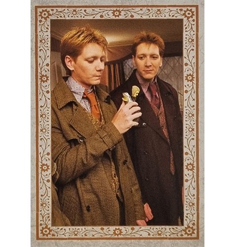 Panini Harry Potter Evolution Trading Cards Nr 232 The Weasleys