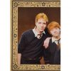 Panini Harry Potter Evolution Trading Cards Nr 233 The Weasleys