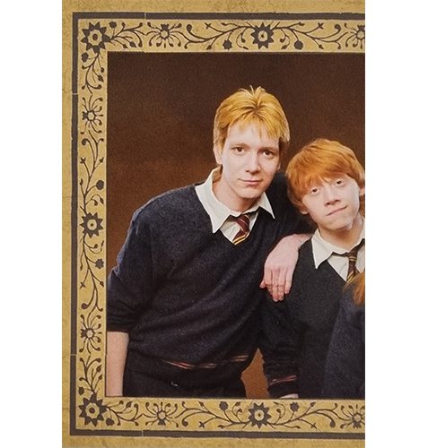 Panini Harry Potter Evolution Trading Cards Nr 233 The Weasleys