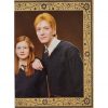 Panini Harry Potter Evolution Trading Cards Nr 234 The Weasleys
