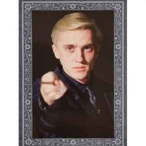 Panini Harry Potter Evolution Trading Cards Nr 237 The Malfoys