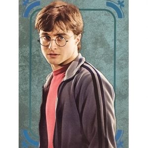 Panini Harry Potter Evolution Trading Cards Nr 024 Harry Potter