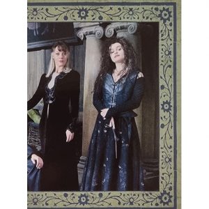 Panini Harry Potter Evolution Trading Cards Nr 240 The Malfoys