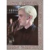 Panini Harry Potter Evolution Trading Cards Nr 243 The Malfoys