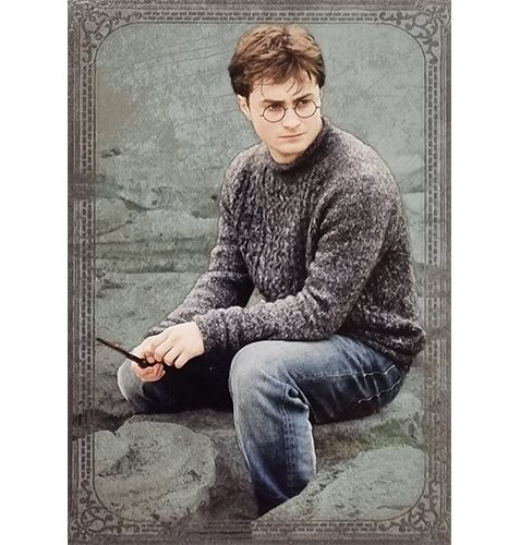 Panini Harry Potter Evolution Trading Cards Nr 026 Harry Potter