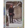 Panini Harry Potter Evolution Trading Cards Nr 291 Magical Place