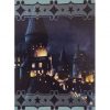 Panini Harry Potter Evolution Trading Cards Nr 299 Magical Place