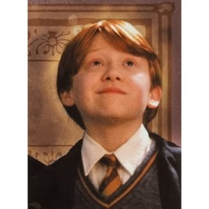 Panini Harry Potter Evolution Trading Cards Nr 003 Friends for life