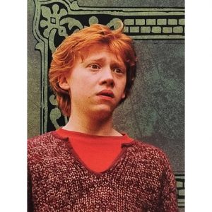 Panini Harry Potter Evolution Trading Cards Nr 004 Friends for life