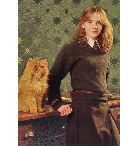 Panini Harry Potter Evolution Trading Cards Nr 040 Hermine Granger