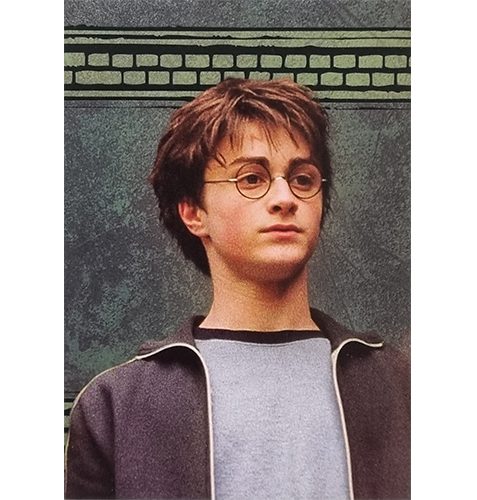 Panini Harry Potter Evolution Trading Cards Nr 005 Friends for life