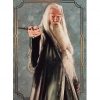 Panini Harry Potter Evolution Trading Cards Nr 051 Albus Dumbledore